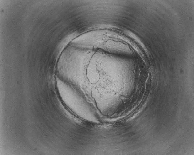 X0000073490810200608211648