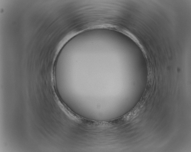 X0000073490811200608211648