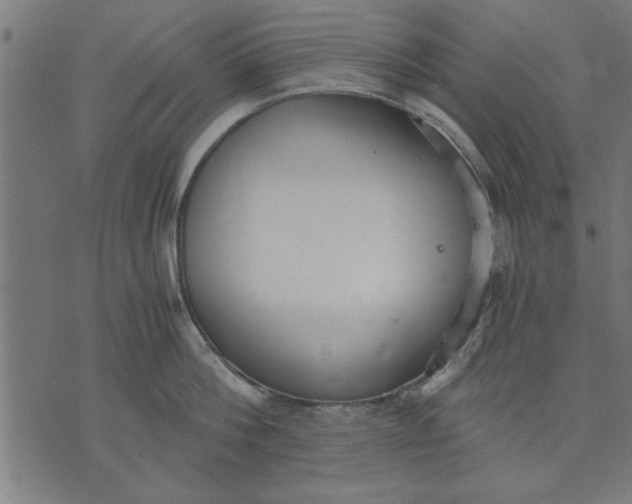 X0000073490812200608211648