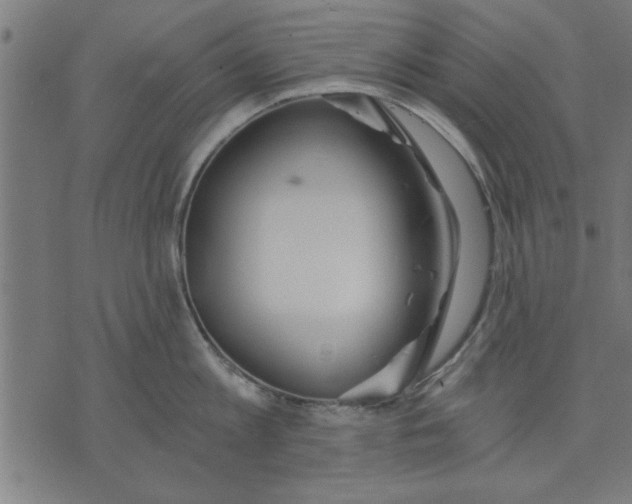 X0000073490813200608211648