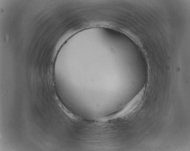 X0000073490816200608211648