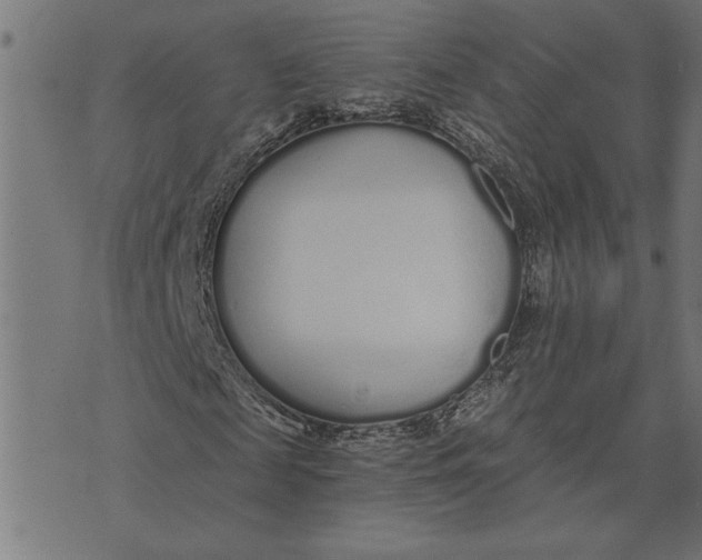 X0000073490817200608211647