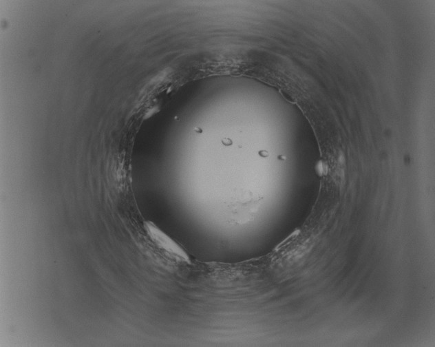 X0000073490818200608211647