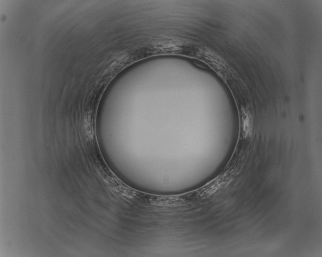 X0000073490819200608211647