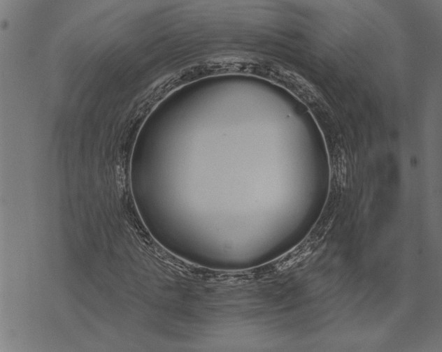 X0000073490821200608211647