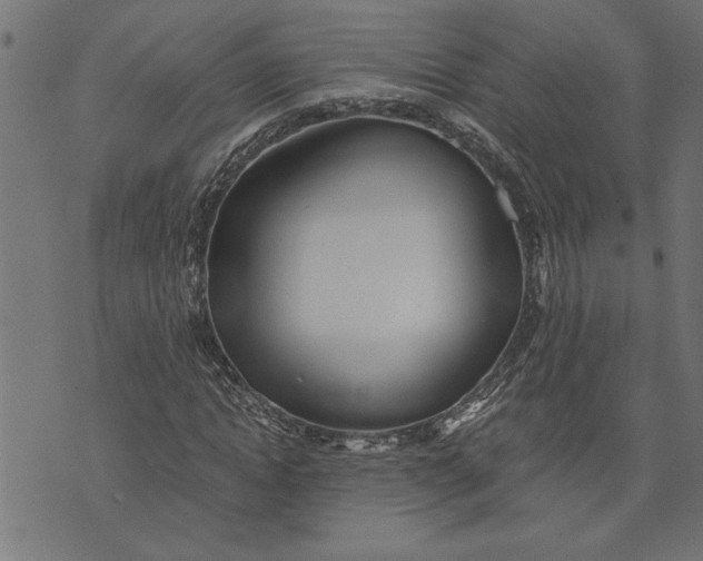 X0000073490822200608211647