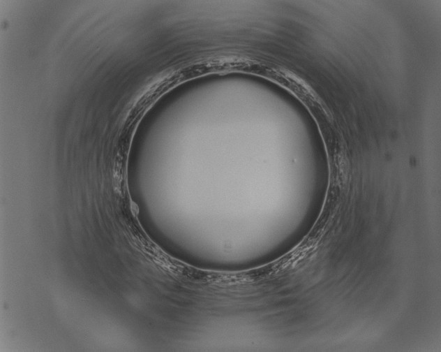 X0000073490823200608211647