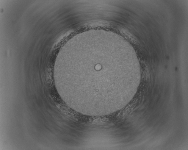 X0000073490824200608211647