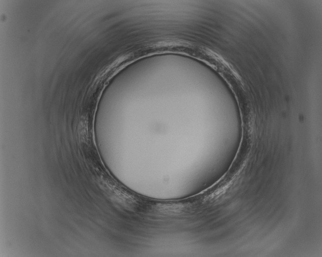 X0000073490825200608211647