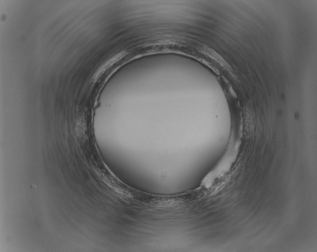 X0000073490826200608211647