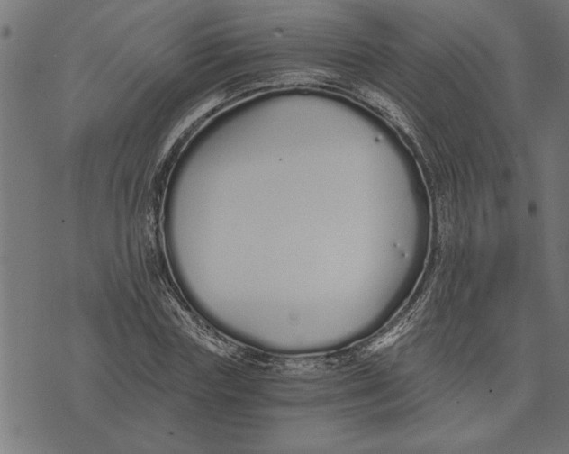 X0000073490827200608211647