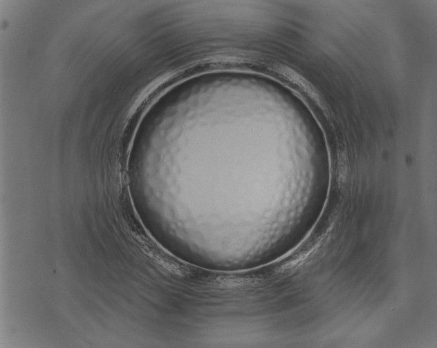 X0000073490829200608211647