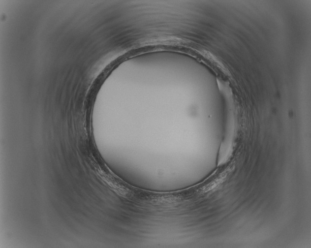 X0000073490830200608211647