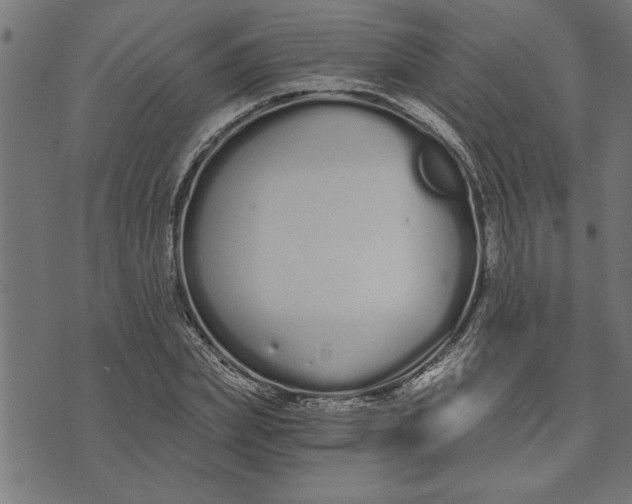 X0000073490831200608211647