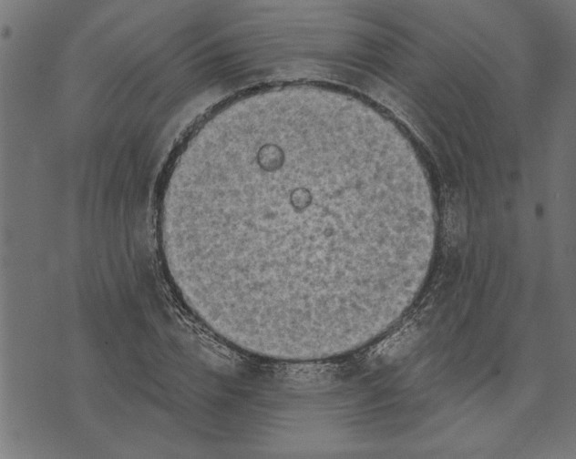 X0000073490832200608211648