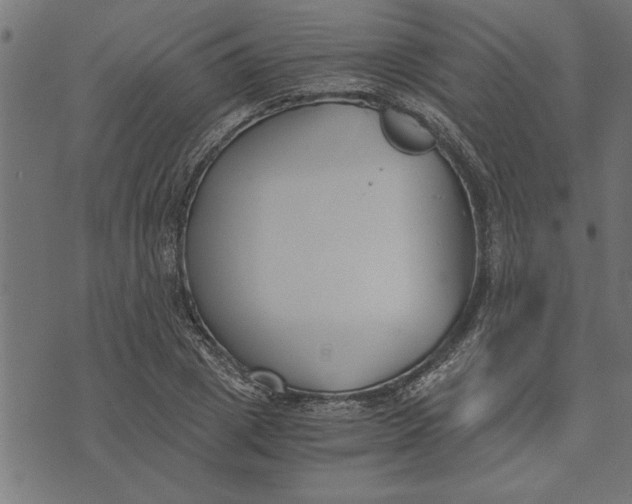 X0000073490833200608211648