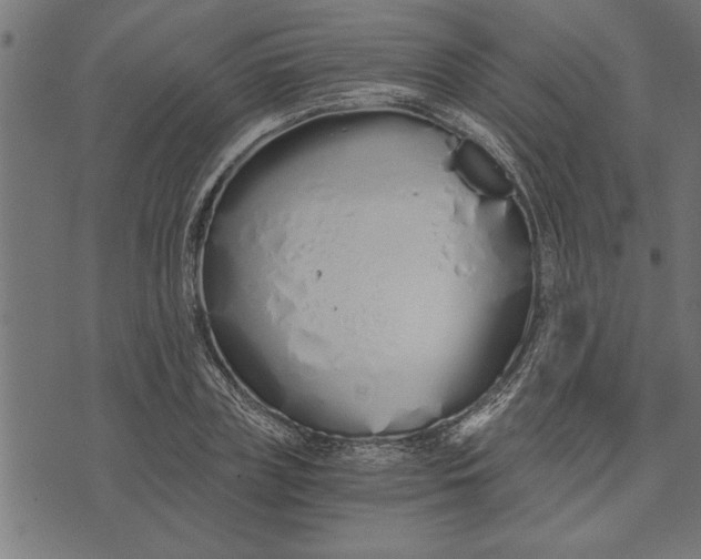 X0000073490835200608211648