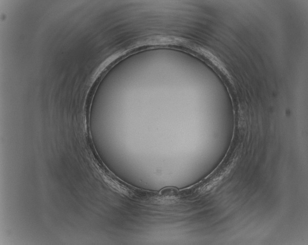 X0000073490837200608211648