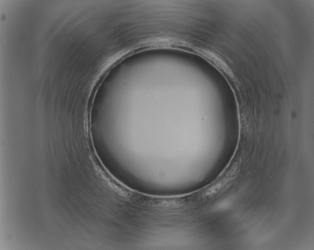 X0000073490839200608211648