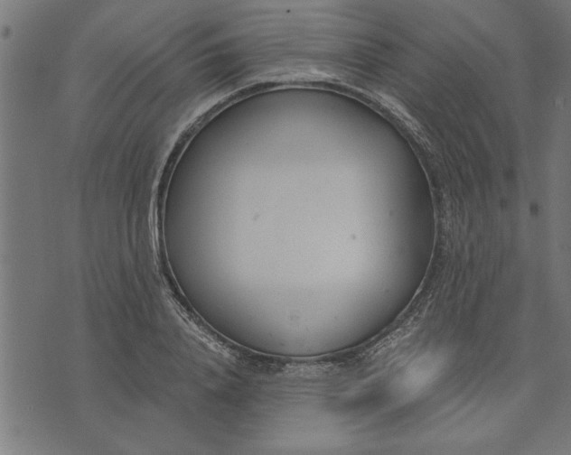 X0000073490840200608211648