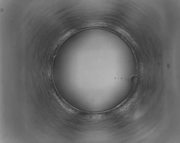 X0000073490841200608211648