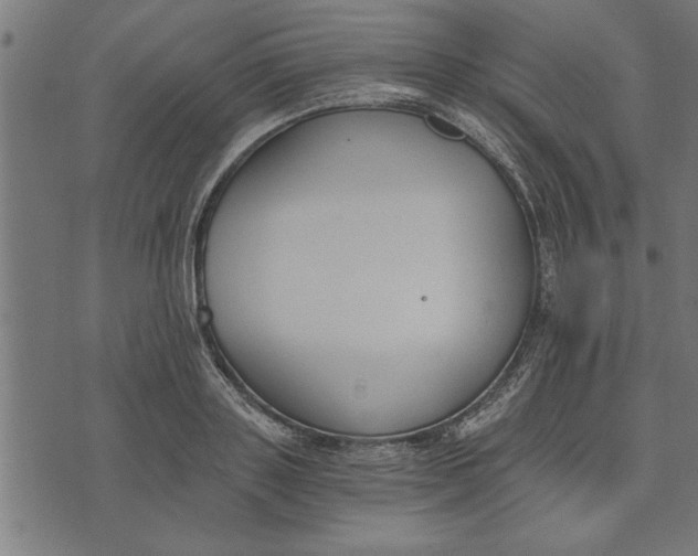 X0000073490843200608211648