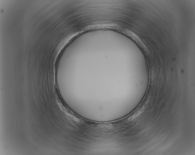 X0000073490844200608211648