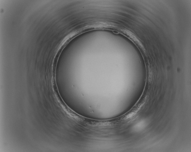 X0000073490845200608211648