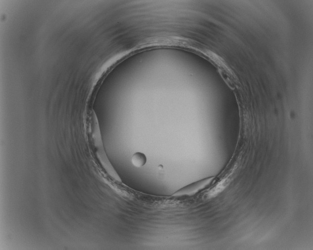 X0000073490846200608211648