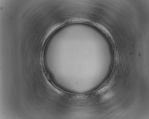 X0000073490847200608211648