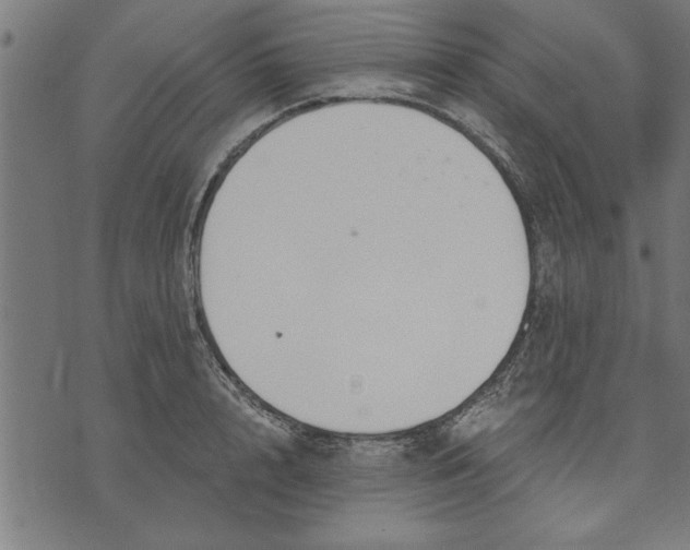 X0000073490848200608211648