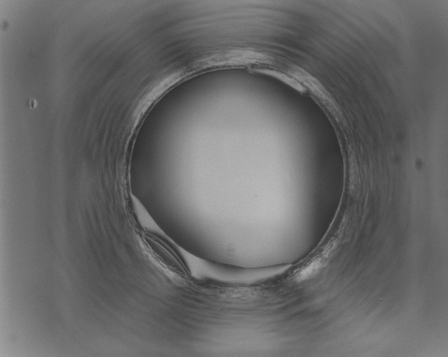 X0000073490850200608211648