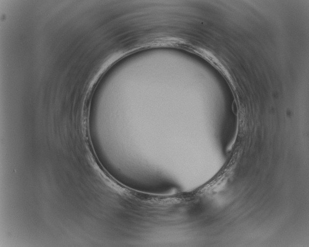 X0000073490851200608211648