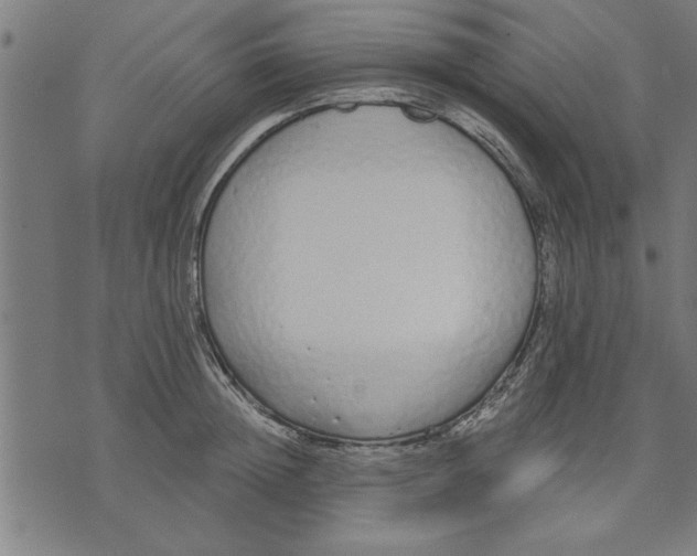 X0000073490852200608211648