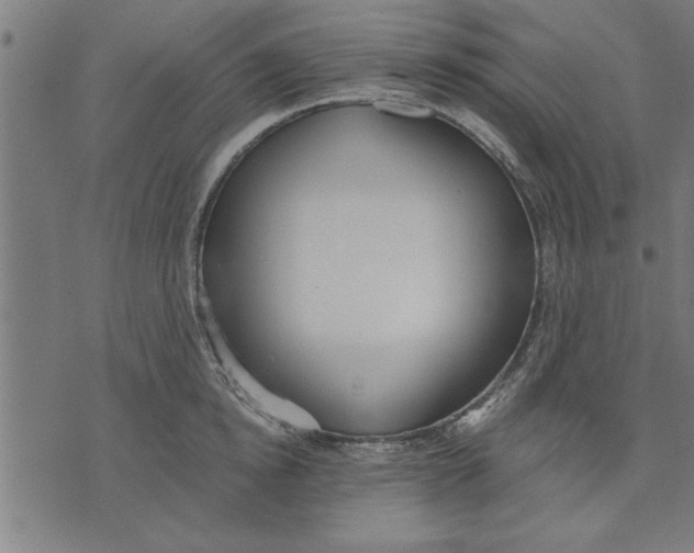 X0000073490854200608211648