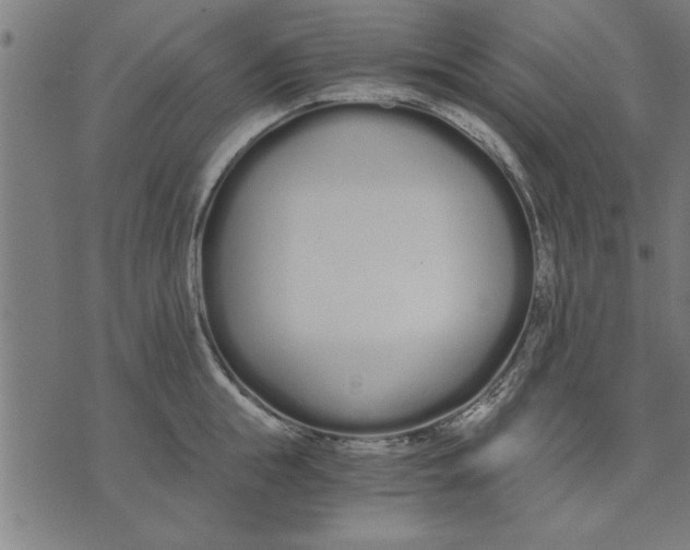 X0000073490855200608211648