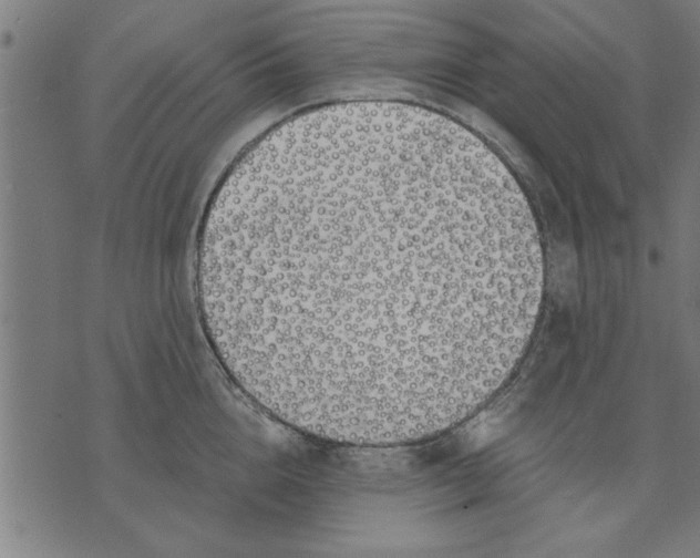 X0000073490856200608211648