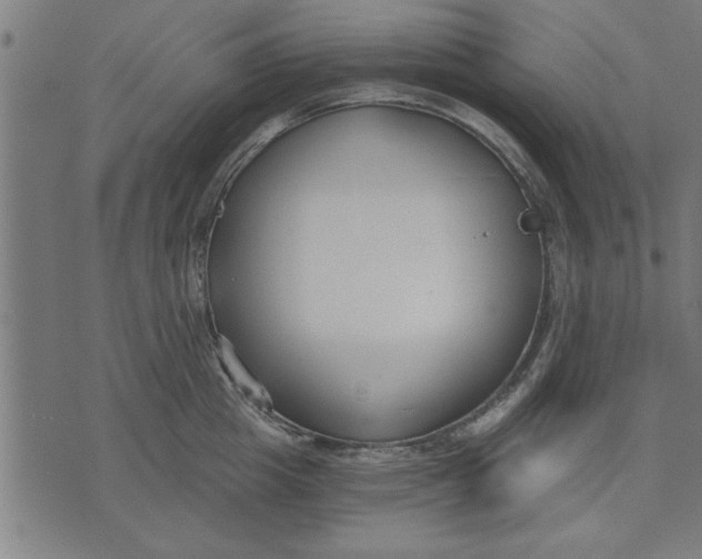 X0000073490857200608211648