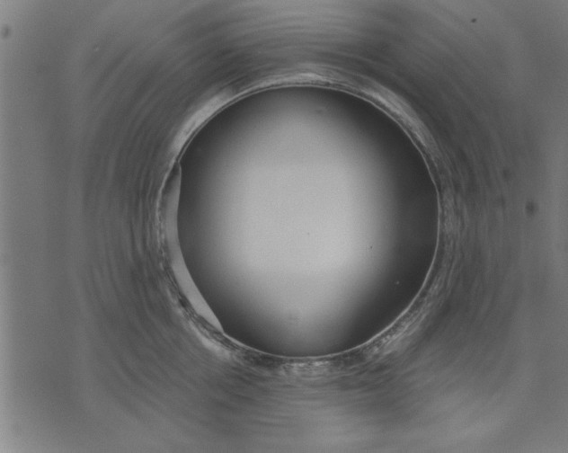 X0000073490858200608211648