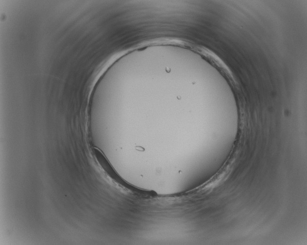 X0000073490860200608211648