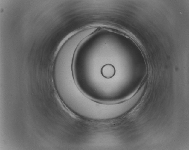 X0000073490862200608211648