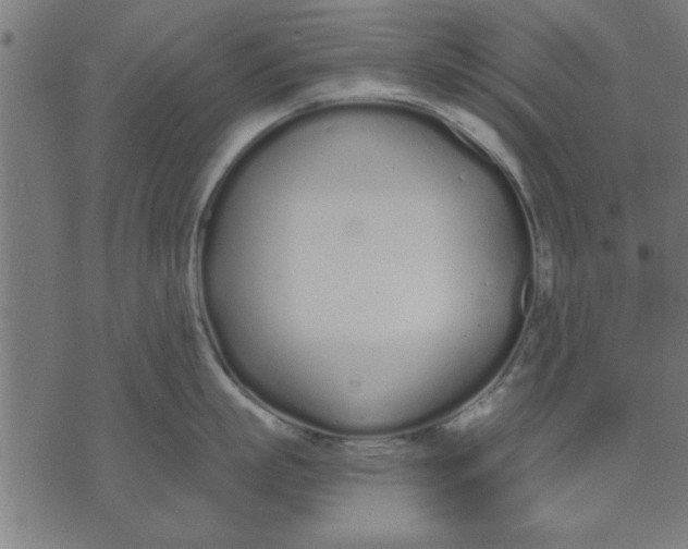 X0000073490863200608211648