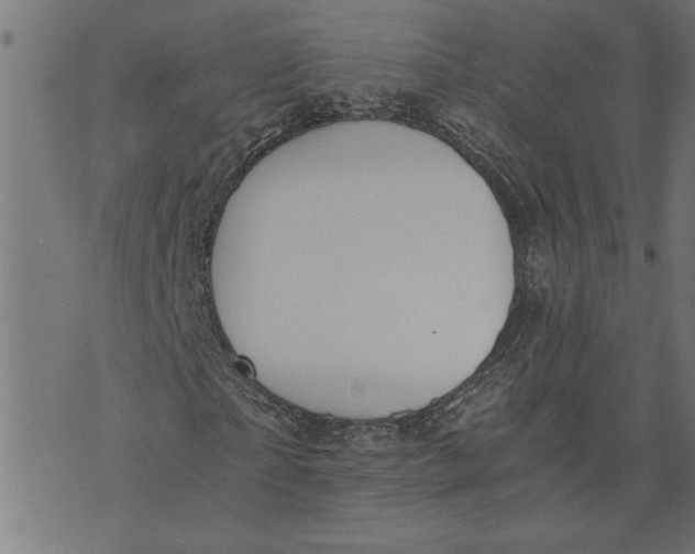 X0000073490865200608211647