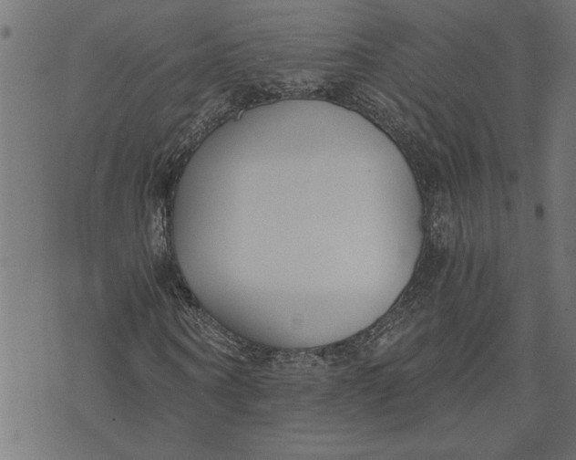 X0000073490866200608211647