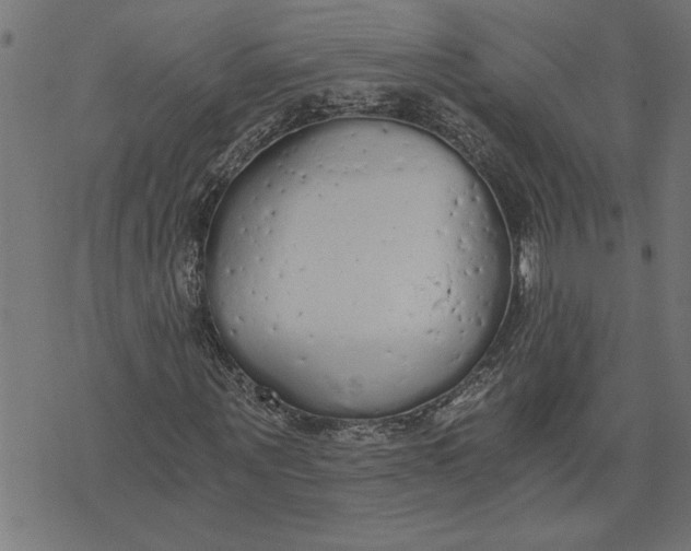 X0000073490867200608211647