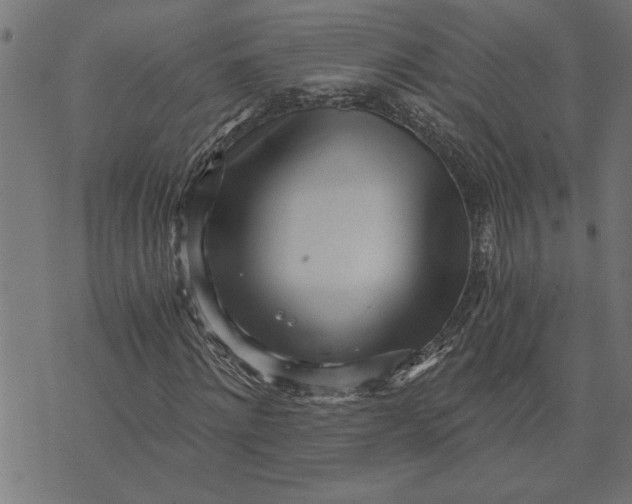 X0000073490868200608211647