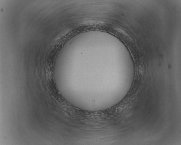 X0000073490869200608211647