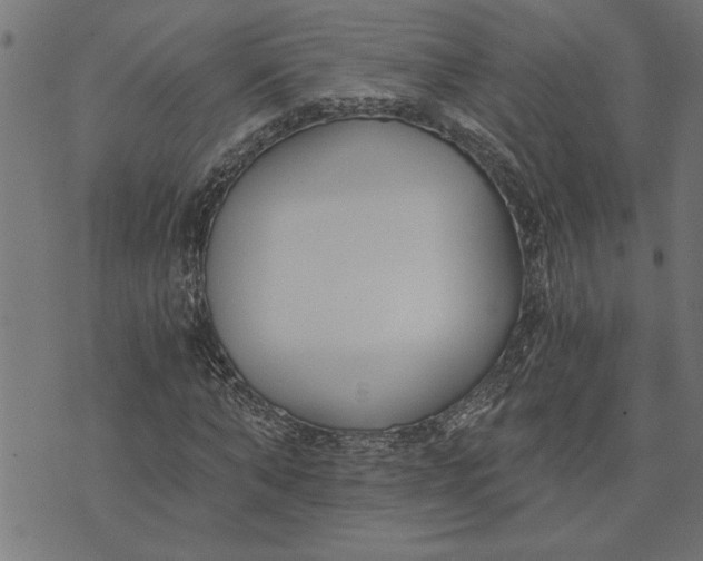 X0000073490870200608211647