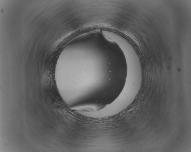 X0000073490872200608211647