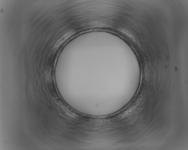 X0000073490873200608211647